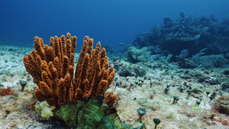 Processed with VSCO with u3 preset